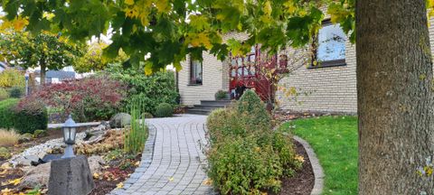 A beautiful path leads to a house, surrounded by colorful plants and trees. The garden has a neat appearance with a small stream.