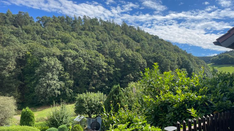 Een schilderachtig uitzicht op groene heuvels en dichte bossen onder een blauwe lucht. Op de voorgrond zijn planten en een hek te zien.