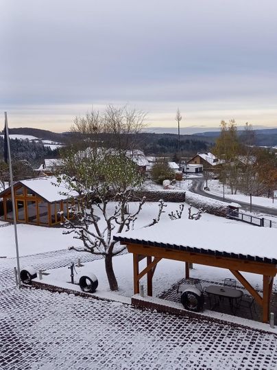 Een besneeuwd landschap met huizen en bomen. De lucht is grijs en de straat is gedeeltelijk bedekt met sneeuw.