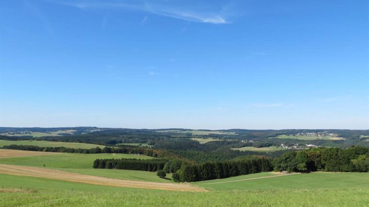 Eine weite Landschaft mit sanften Hügeln und saftigem Grün. Der Himmel ist klar und blau, ideal für einen ruhigen Tag in der Natur.