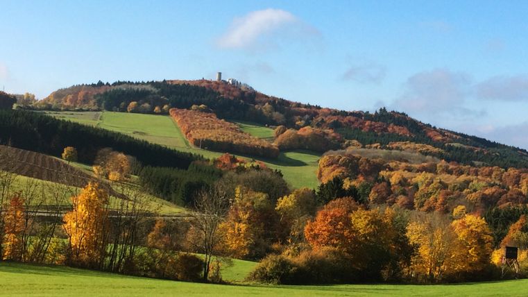 Een schilderachtig landschap met glooiende heuvels en kleurrijke herfstbomen. Op de achtergrond is een uitkijktoren te zien.