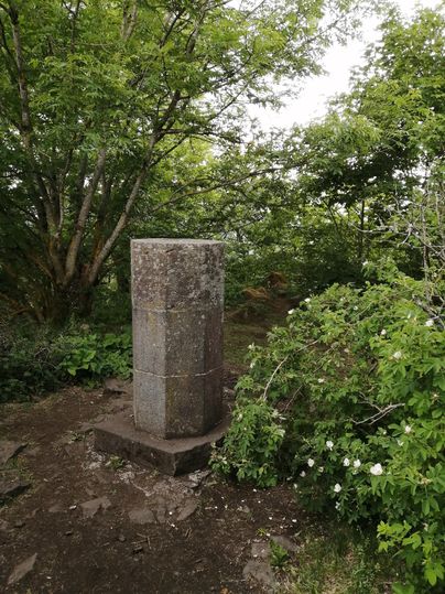 Topsteen op de Hohe Acht, omgeven door bomen en struiken.