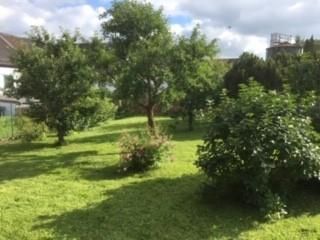 A beautiful garden with several trees and green grass. The sky is cloudy, and the surroundings look peaceful.