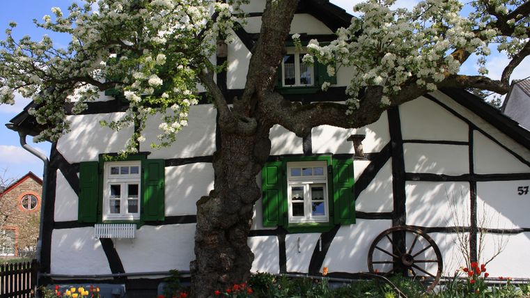 Fachwerkhaus mit blühendem Baum und Blumenbeet im Vordergrund.