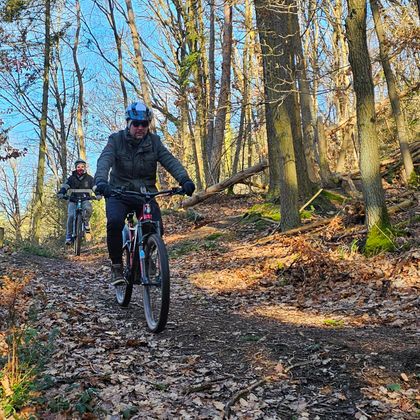 Zwei Radfahrer fahren auf einem Waldweg zwischen Bäumen und Laub. Die Sonne scheint und der Himmel ist klar.