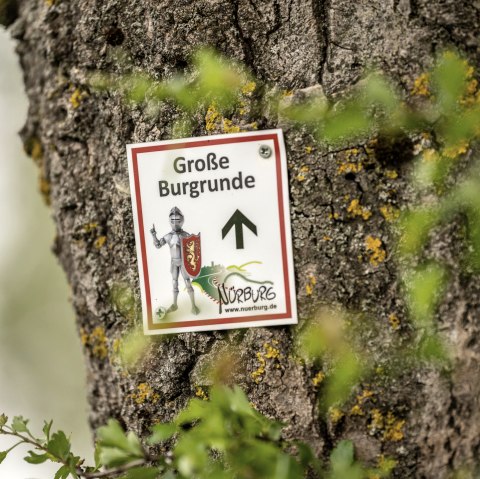 Family circular route around the Nürburg, © TI Hocheifel-Nürburgring,D.Ketz