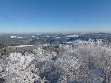 Eine winterliche Landschaft mit schneebedeckten Bäumen und einem klaren blauen Himmel. Die sanften Hügel im Hintergrund sind ebenfalls mit Schnee überzogen.