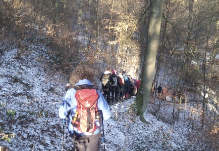 Winter Wandertag , &copy; VGV Adenau,R.Kaiser