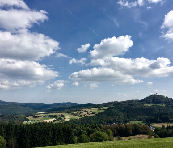 Weite Landschaft mit grünen Hügeln, Wäldern und Feldern. Auf einem Hügel ist die Burgruine Nürburg zu sehen. Der Himmel ist blau mit weißen Wolken., © VGVAdenau,SebastianSchulte