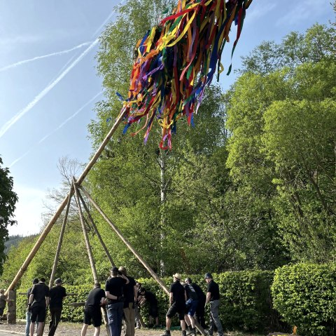 Aufstellen des Maibaums, &copy; Daniela Scheffold