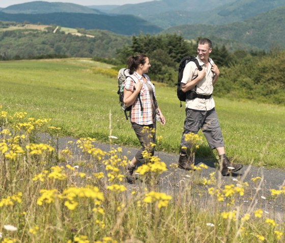 Zwei Personen wandern auf einem Weg durch eine gr&uuml;ne Landschaft. Gelbe Blumen bl&uuml;hen im Vordergrund, w&auml;hrend im Hintergrund H&uuml;gel zu sehen sind., &copy; Ahrtaltourismus e.V.