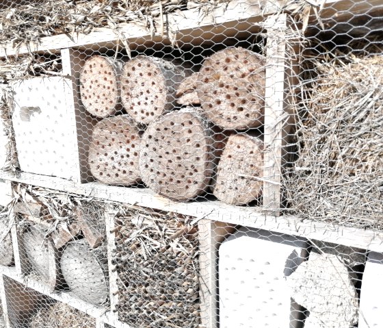 Insektenhotel im Inklusionsgarten M&uuml;sch, &copy; Tourist-Information Hocheifel-N&uuml;rburgring