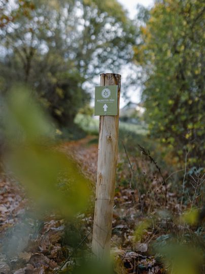 Ein Holzpfosten mit einem Schild "Waldretter-Trail" in einem herbstlichen Waldweg.
