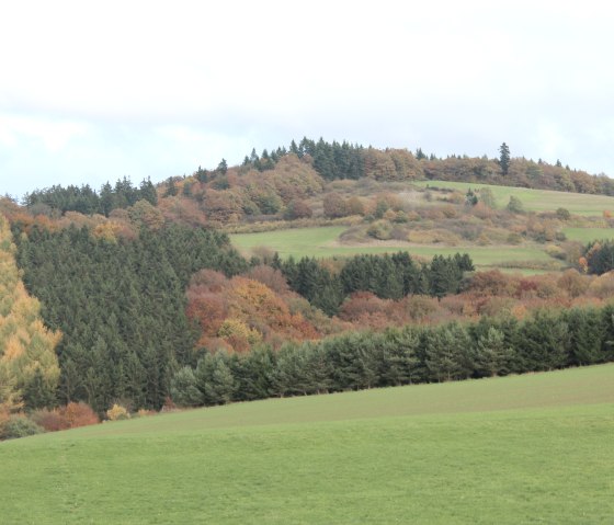 Herbstliche Landschaft mit bunten Bäumen, grünen Wiesen und einem bewaldeten Hügel im Hintergrund unter bewölktem Himmel., © Walter Schmitz
