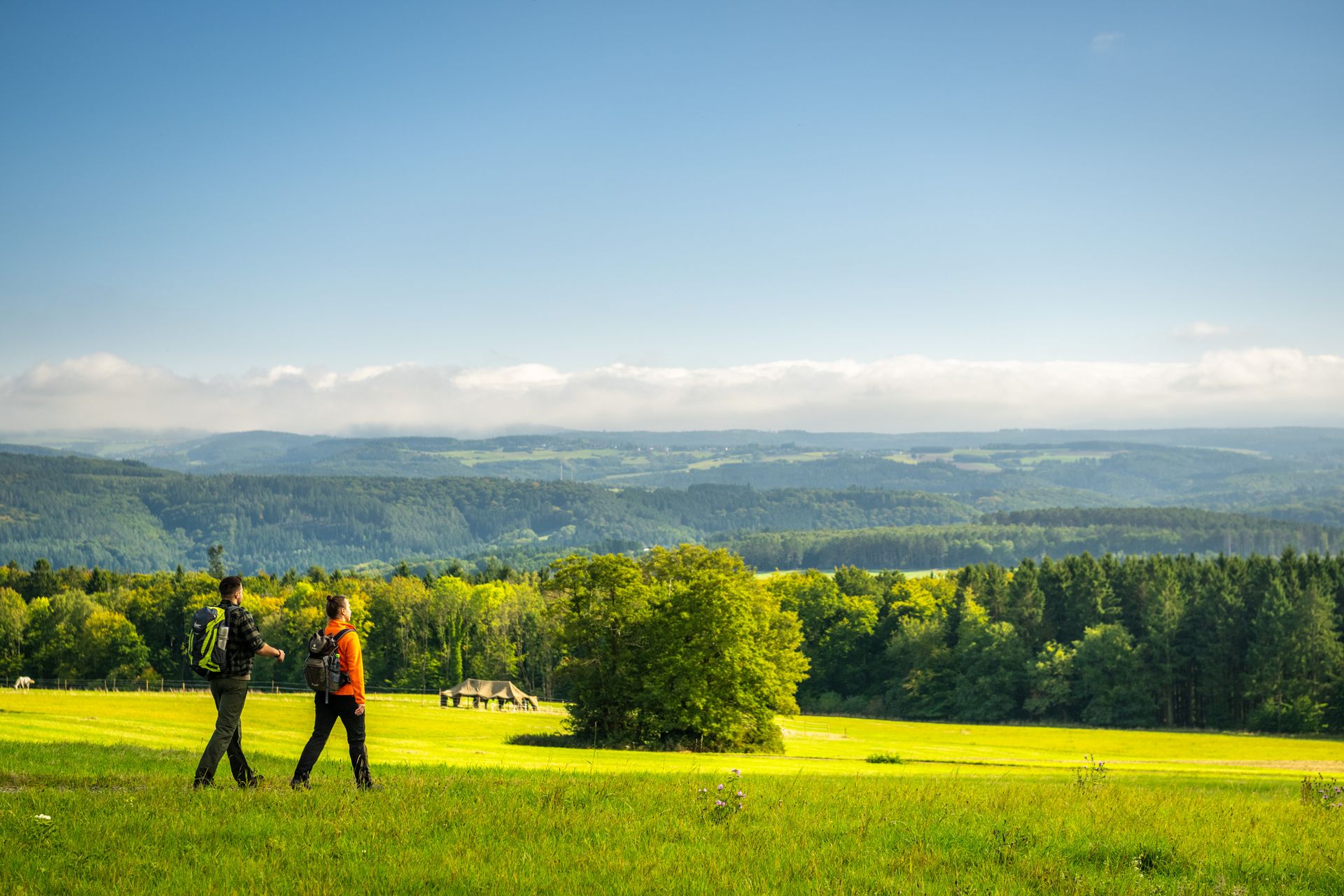 Zwei wandernde Personen gehen über eine sonnige, grüne Wiese mit Blick auf eine weitläufige Hügellandschaft. Im Vordergrund stehen einzelne Bäume, im Hintergrund Wälder und sanfte Hügel unter einem klaren blauen Himmel