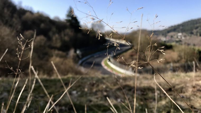 Eine kurvenreiche Straße, umgeben von Natur und sanften Hügeln. Im Vordergrund sind einige trockene Gräser zu sehen.