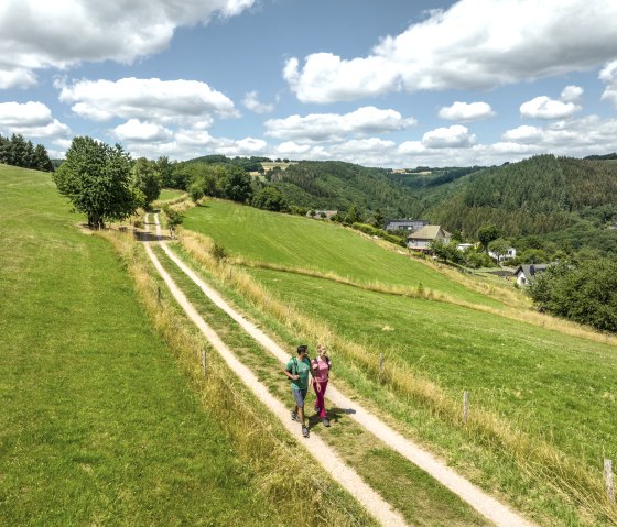 Eifelsteig-Wanderweg entlang von Wiesen und Feldern bei Dedenborn, &copy; Eifel Tourismus GmbH, Dominik Ketz