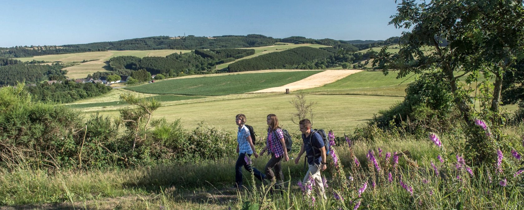 hiking-idyll-by-hohenleimbach, &copy; Kappest_VG_Adenau