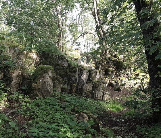 Basaltformationen im Wald bei Hohe Acht, umgeben von dichtem Grün und Bäumen. Sonnenlicht fällt durch das Blätterdach.
