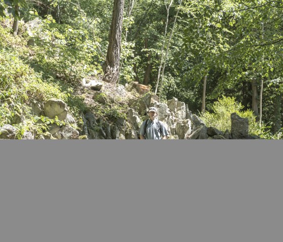 Eine Person wandert auf einem sonnigen Waldweg, umgeben von Felsen und &uuml;ppigem Gr&uuml;n., &copy; VG Adenau&copy;Kappest