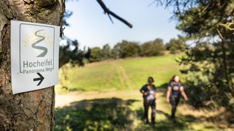 Ein Schild mit der Aufschrift 'Hocheifel Panorama Weg' an einem Baum, im Hintergrund zwei unscharfe Personen auf einem Wanderweg.