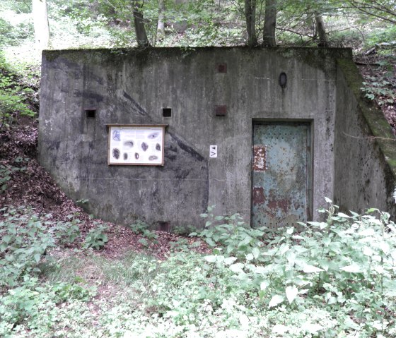A stone bunker on the Eulenweg where bats live, © Daniela Scheffold
