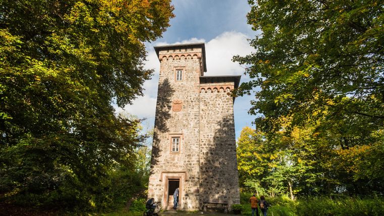 Turm der Burg- und Schlossruine Arenberg umgeben von Bäumen.