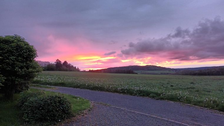 A beautiful sunset over a vast meadow. The sky is tinted in various shades of pink and purple.