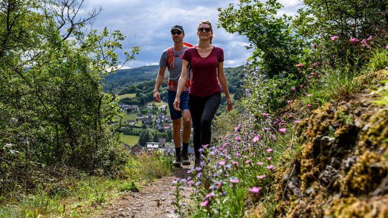 Zwei Personen wandern auf einem Pfad mit Blumen am AhrSteig bei Schuld.