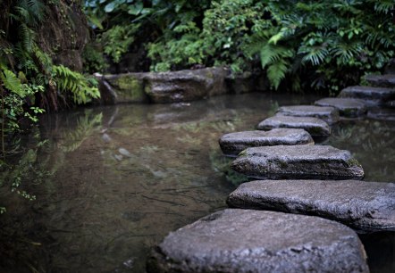 Bachlauf, &copy; Bachlauf&copy;ArchivfotoMicrosoft