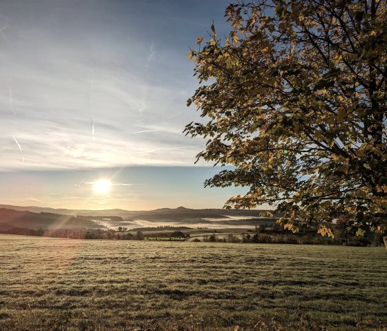 Ausblick Rodder Eifel 2024  Eifelstube PXL_2022102