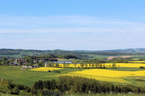 Un paysage vaste avec des champs de colza jaunes et des prairies vertes. À l'arrière-plan, on peut voir des collines douces et un ciel bleu clair.