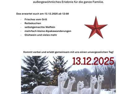 Plakat Weihnachtszauber mit Alpakas, © Sandras Eifler Alpakas