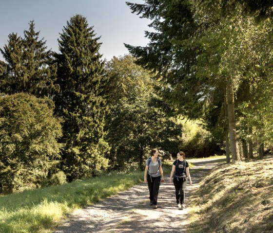 Hocheifel_PanoramaWeg063_Insul_Winnerath&copy;BaumannFotografie, &copy; TI Hocheifel-N&uuml;rburgirng&copy;BaumannFotografie