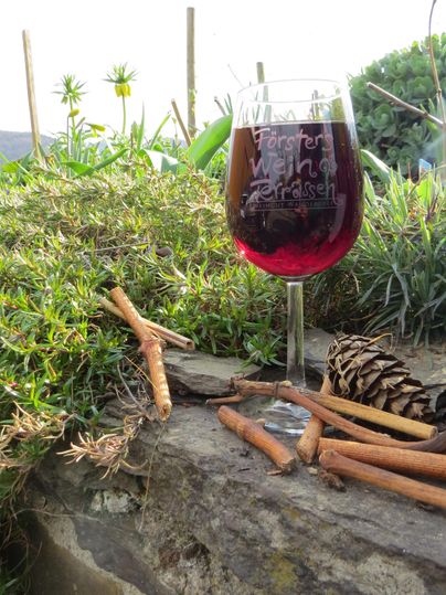 Un verre de vin rouge est posé sur un sol en pierre, entouré de plantes et de branches. À l'arrière-plan, des collines douces se dessinent.