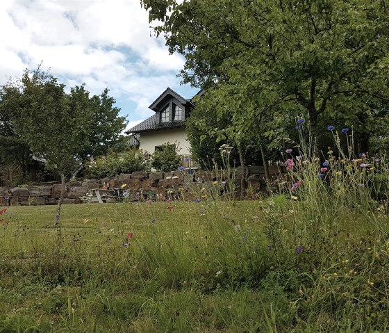 Gartenansicht Ferienwohnung EIFELWILD|Adenau, &copy; Sch&auml;fer|Ferienwohnung EIFELWILD|Adenau