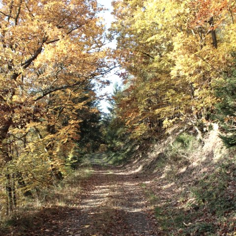 Wanderweg Müllenwirftschleife im Herbstkleid Eifel Ahrtal, © Walter Schmitz