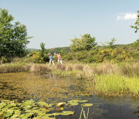 Shore at the Rodder Maar, © Eifel Tourismus GmbH, D. Ketz