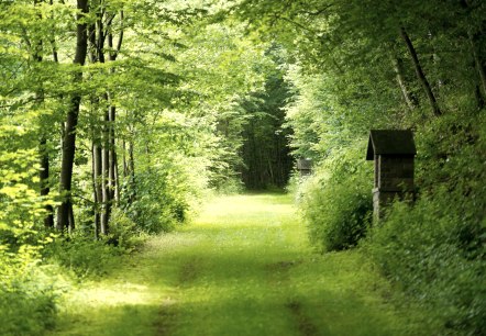 AhrSteig Wegestrecke Schuld, &copy; Ahrtaltourismus e.V.