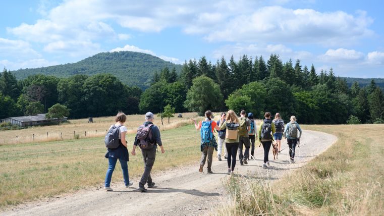 Eine Wandergruppe auf dem Weg zwischen Feldern in der Ferne ein Wald