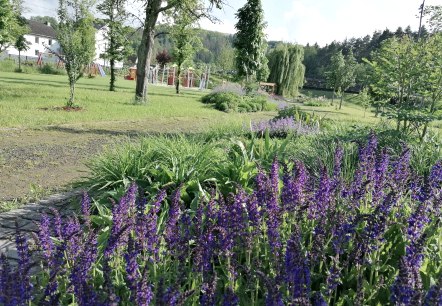 Blüteninsel im Inklusionsgarten, © Tourist-Information Hocheifel-Nürburgring