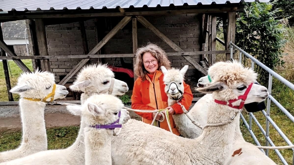 Alpakagruppe©SandrasEiflerAlpakas, © SandrasEiflerAlpakas