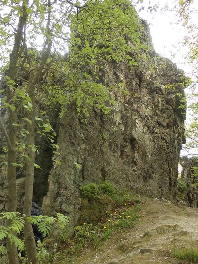 A large, moss-covered rock surrounded by trees. The scene is quiet and natural.
