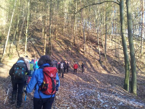 Eine Gruppe von Menschen wandert durch einen herbstlichen Wald. Die Umgebung ist ruhig, mit Bäumen und fallenem Laub auf dem Boden.