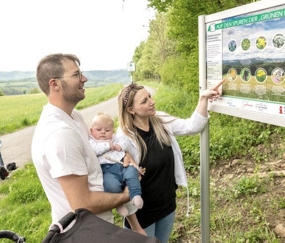 Interesting information about the construction history of the legendary Nürburgring and the special features of the flora and fauna can be found on the 10.5 km circular hiking trail | On the trail of the Green Hell, © TI Hocheifel-Nürburgring,D.Ketz