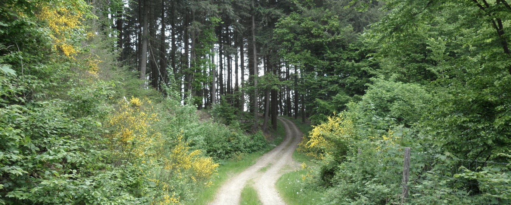 klim-naar-wwershofen, © Gerd Spitzlay