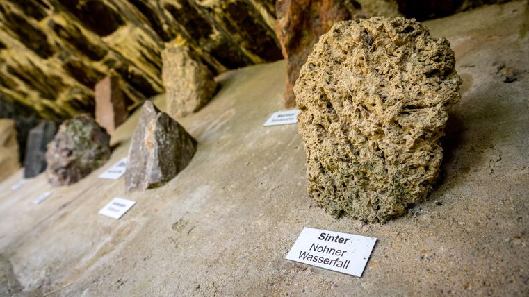 Eine Sammlung von verschiedenen Gesteinen, die auf einem Tisch ausgestellt sind. Jedes Exemplar hat ein Etikett mit dem Namen.