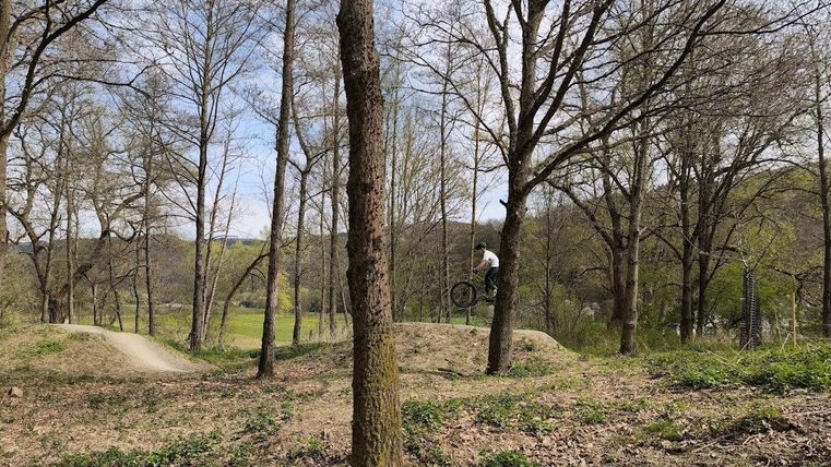 Ein Radfahrer springt über eine Rampe in einem Waldgebiet. Die Bäume und der frische Frühling verleihen der Umgebung eine ruhige Atmosphäre.