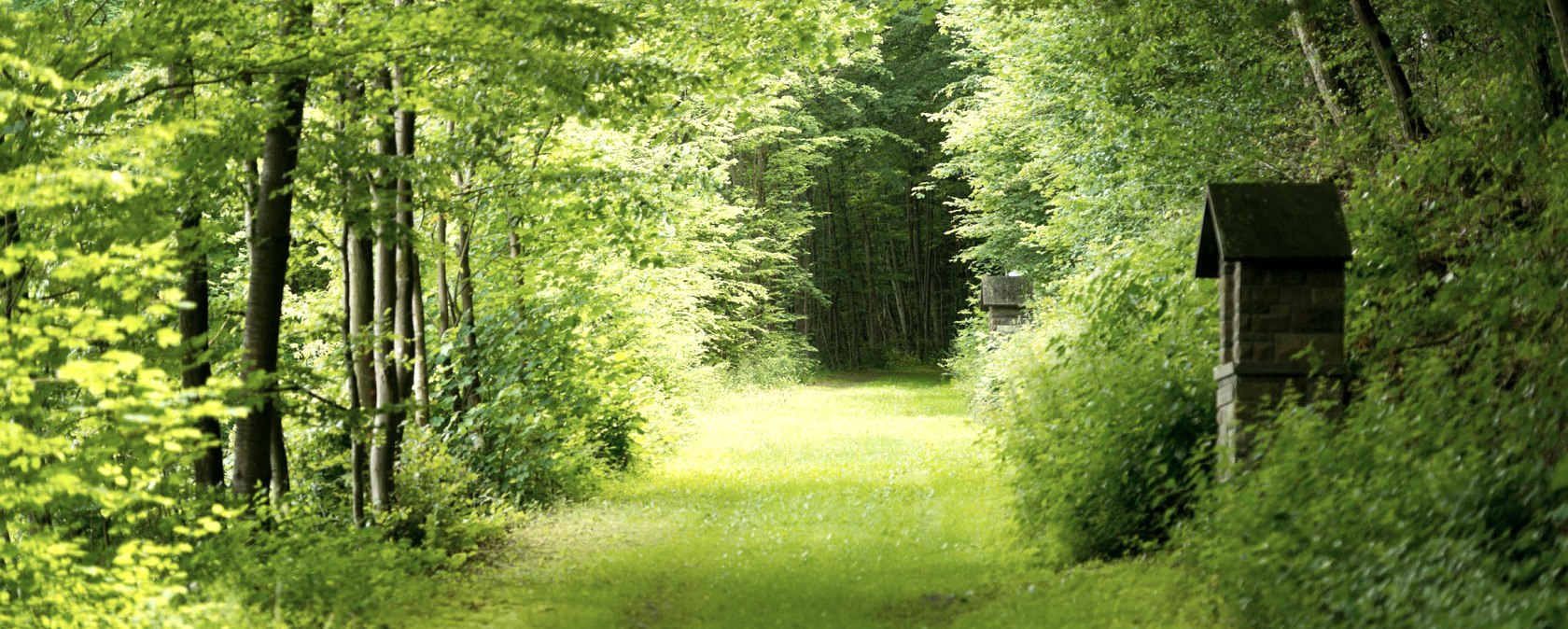 AhrSteig Wegestrecke Schuld, &copy; Ahrtaltourismus e.V.