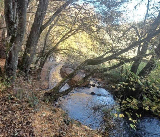 Trierscheider Bachtal, &copy; Martina Gebert
